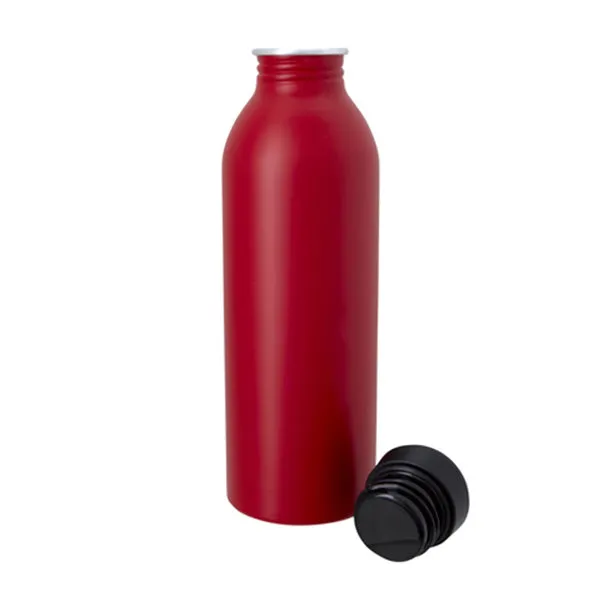 17 Oz. Vivid Aluminum Bottle (Q798822)
