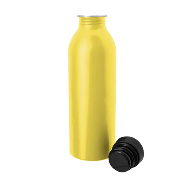 17 Oz. Vivid Aluminum Bottle (Q798822)