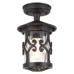 BL13A-BLACK Hereford 1 Light Outdoor Ceiling Light Black