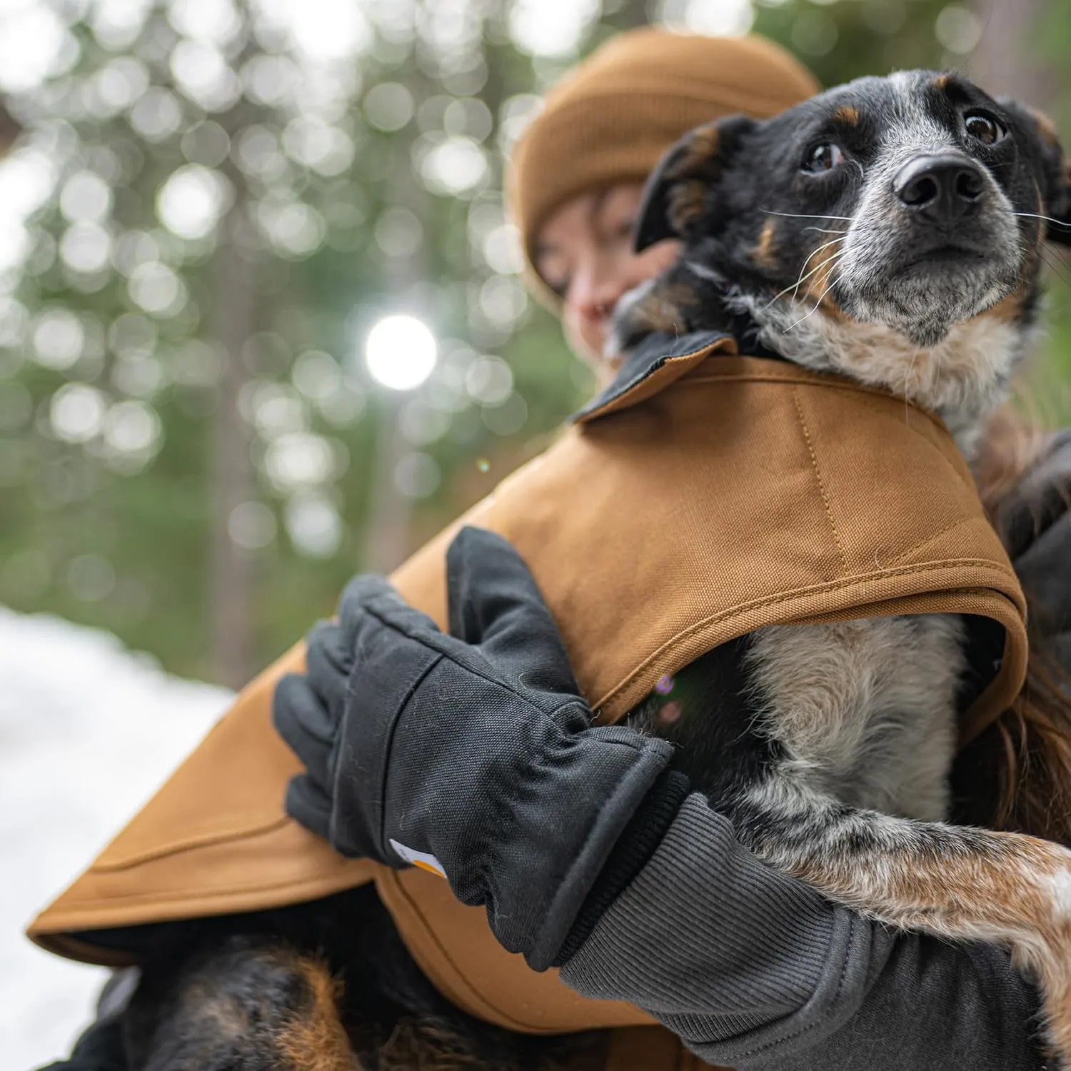Carhartt Firm Duck Insulated Dog Chore Coat, Durable Weather Resistant Jacket for Cold and Windy Conditions, PFAS Free (Carhartt Brown), Medium