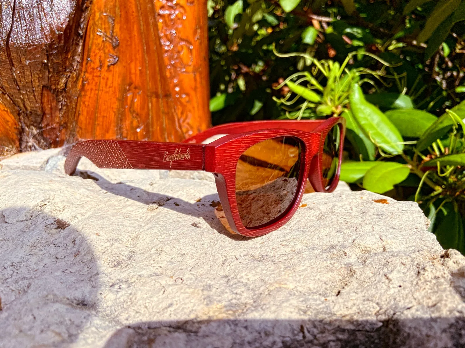 Crimson Wooden Sunglasses, Tea Colored Polarized Lenses