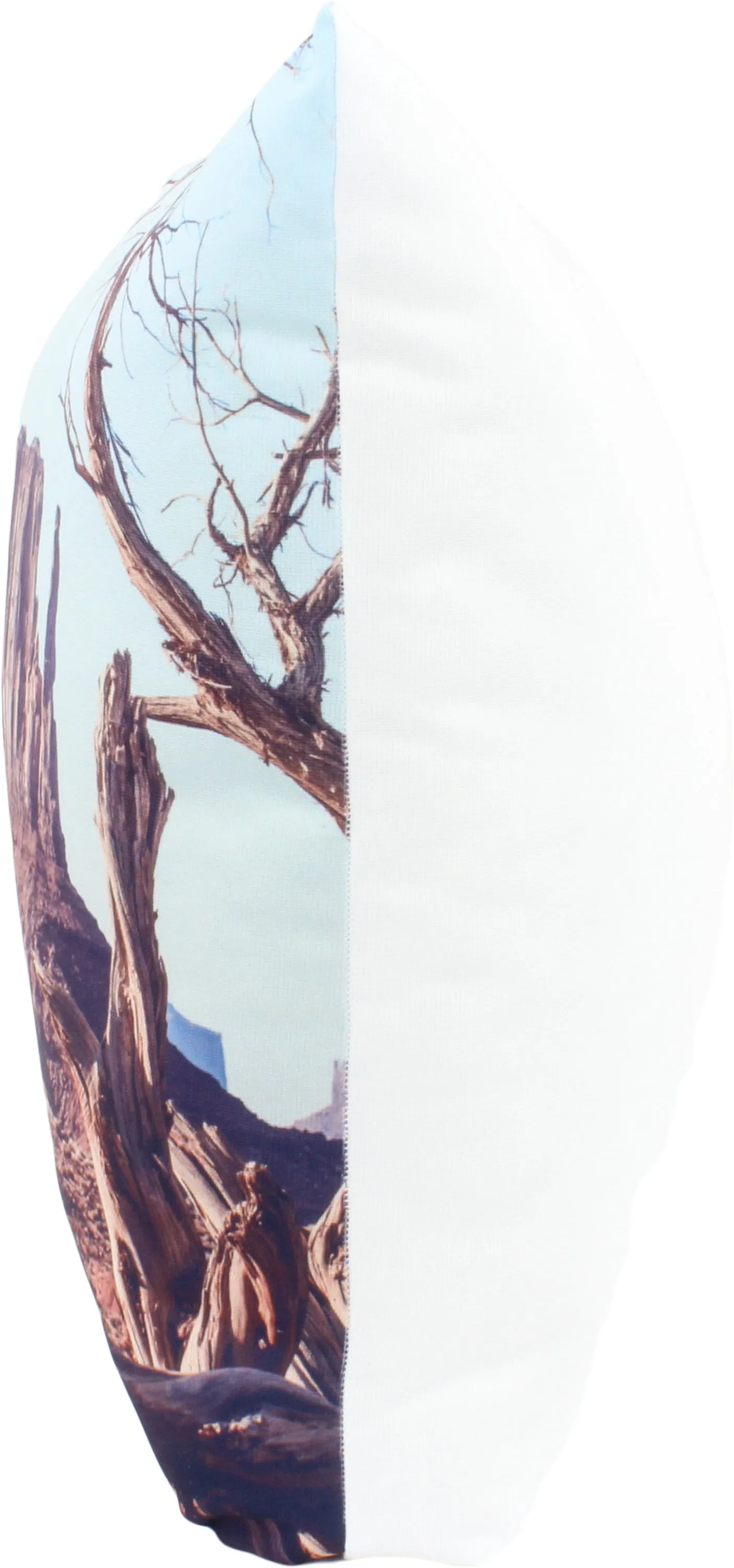 Elephant Rock, Monument Valley, Utah, 16" Decorative Pillow, Made in the USA