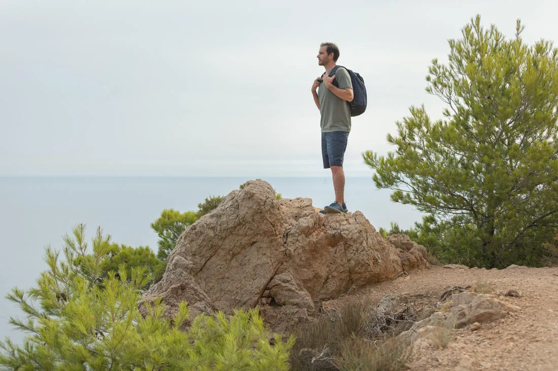 Men’s Hiking Shorts - NH550