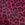 Onzie High Rise Bike Shorts