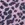Onzie High Rise Bike Shorts
