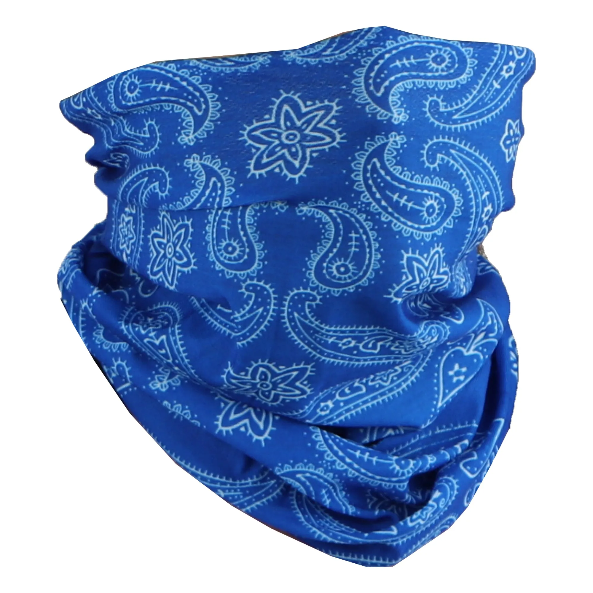 Paisley Bandana Neck Gaiter