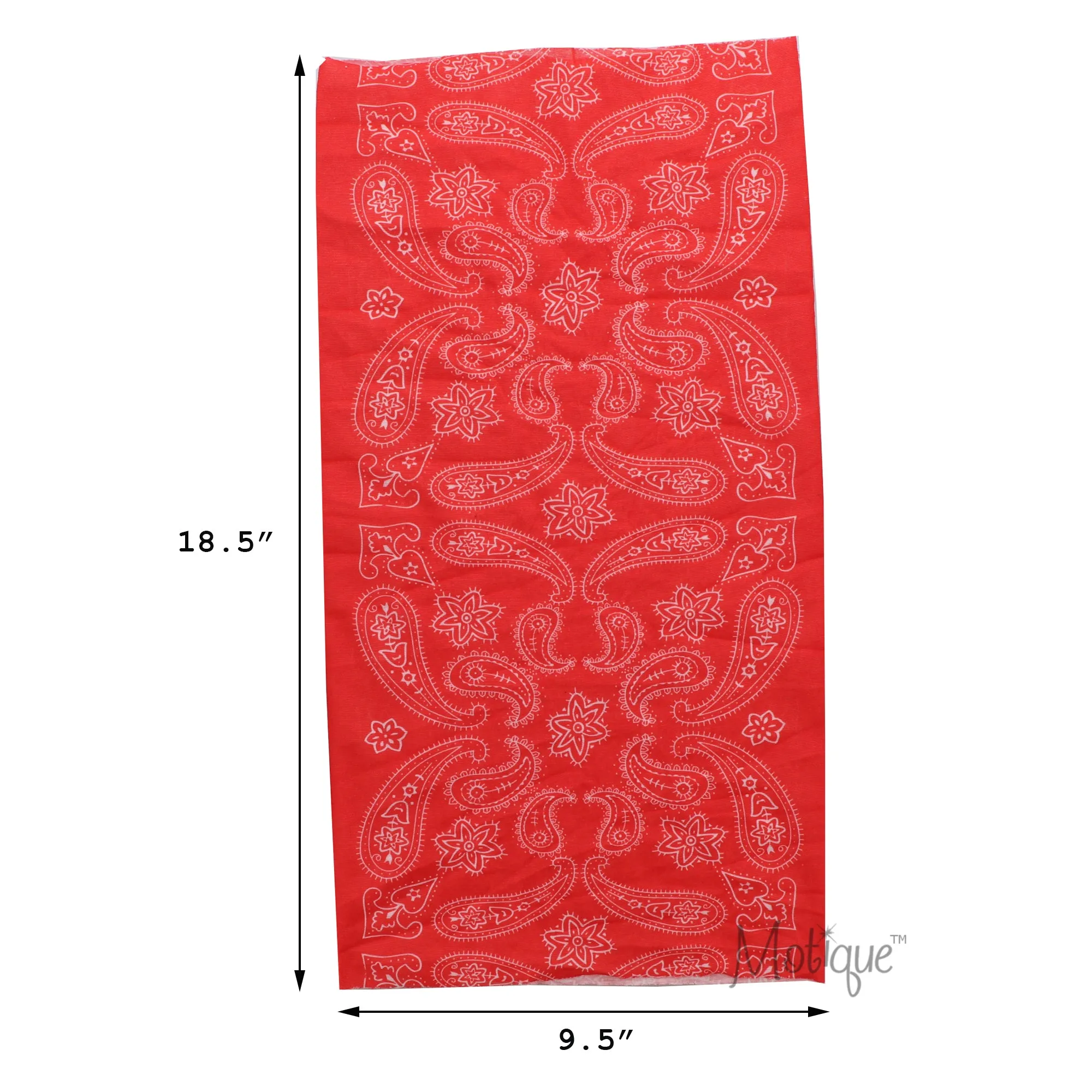 Paisley Bandana Neck Gaiter
