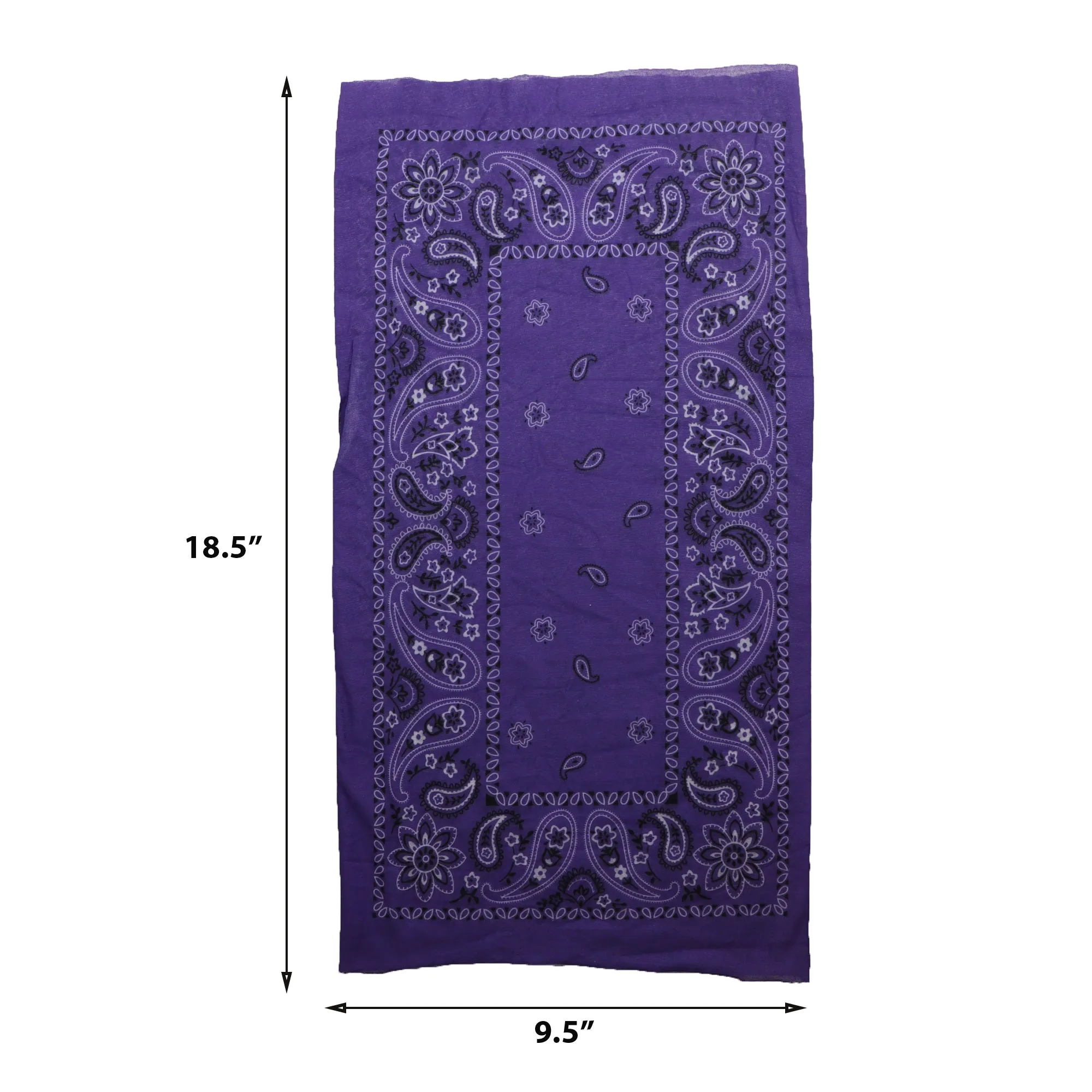 Paisley Bandana Neck Gaiter
