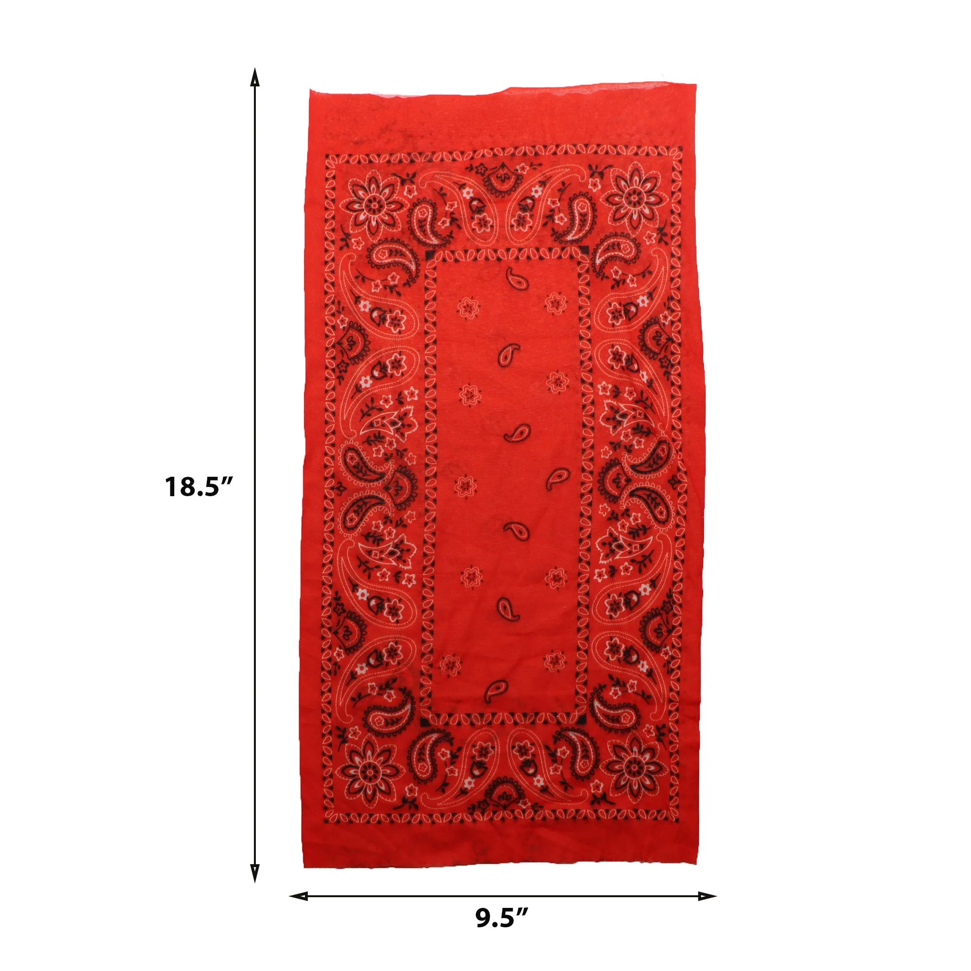 Paisley Bandana Neck Gaiter