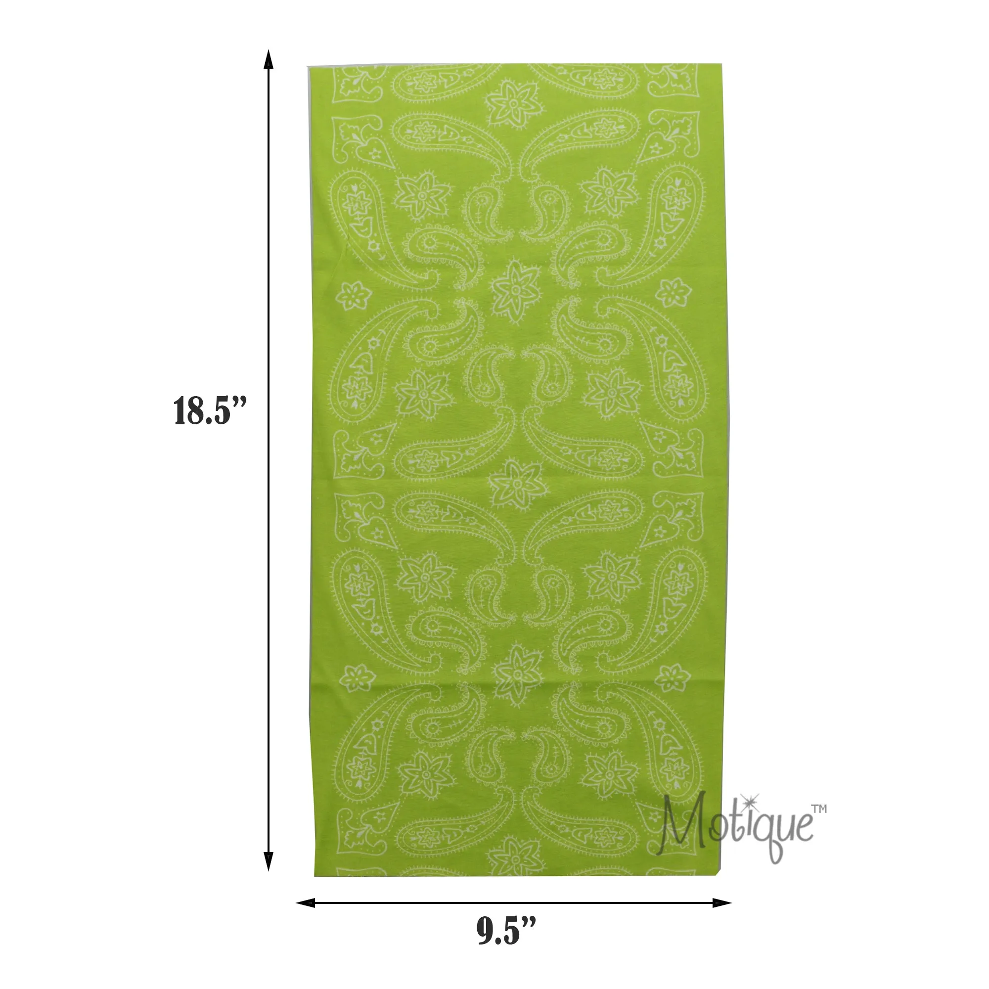 Paisley Bandana Neck Gaiter