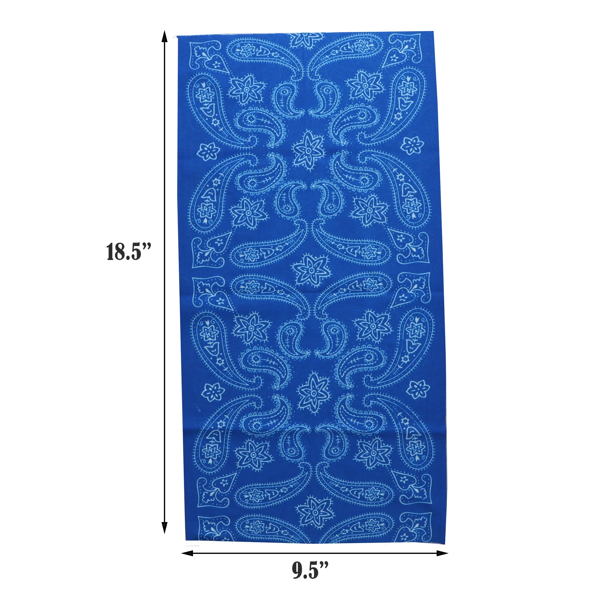 Paisley Bandana Neck Gaiter