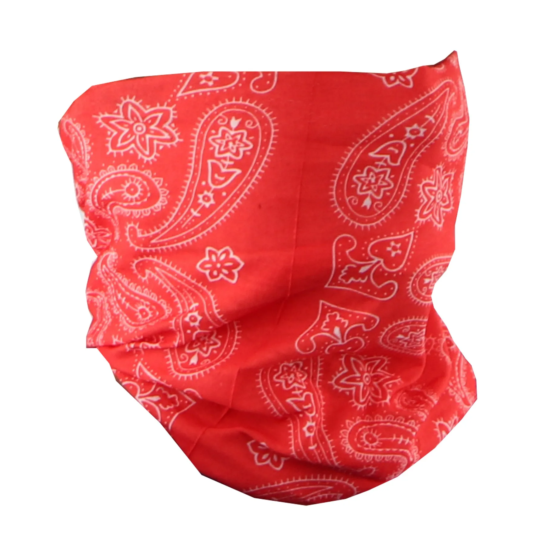 Paisley Bandana Neck Gaiter