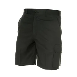 Permanent Press Cargo shorts
