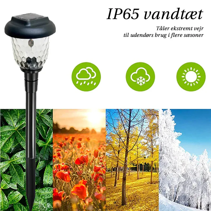 Saker Color-Changing Solar Landscape Lights (2PCS)