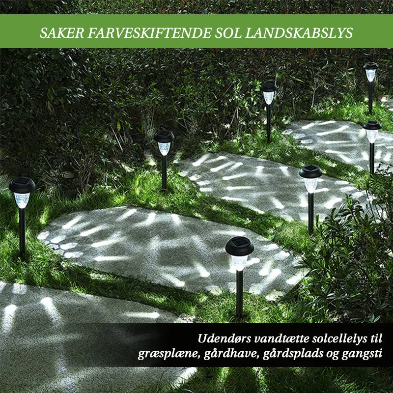 Saker Color-Changing Solar Landscape Lights (2PCS)