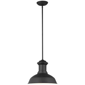 Sea Gull Lighting Fredricksburg 1-Light Outdoor Pendant without Bulb