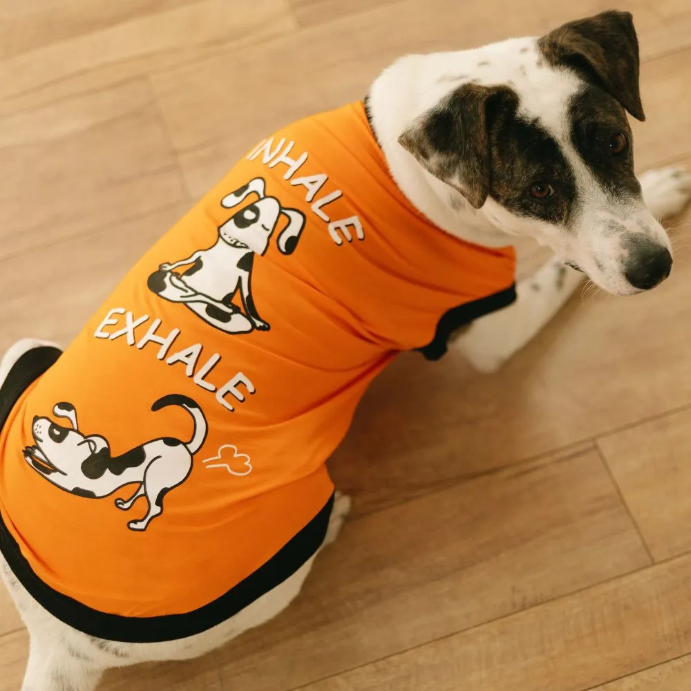 Super Saver Pack of 3 T-shirts Cute