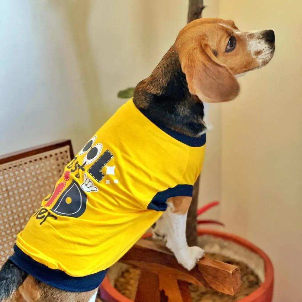 Super Saver Pack of 3 T-shirts Cute