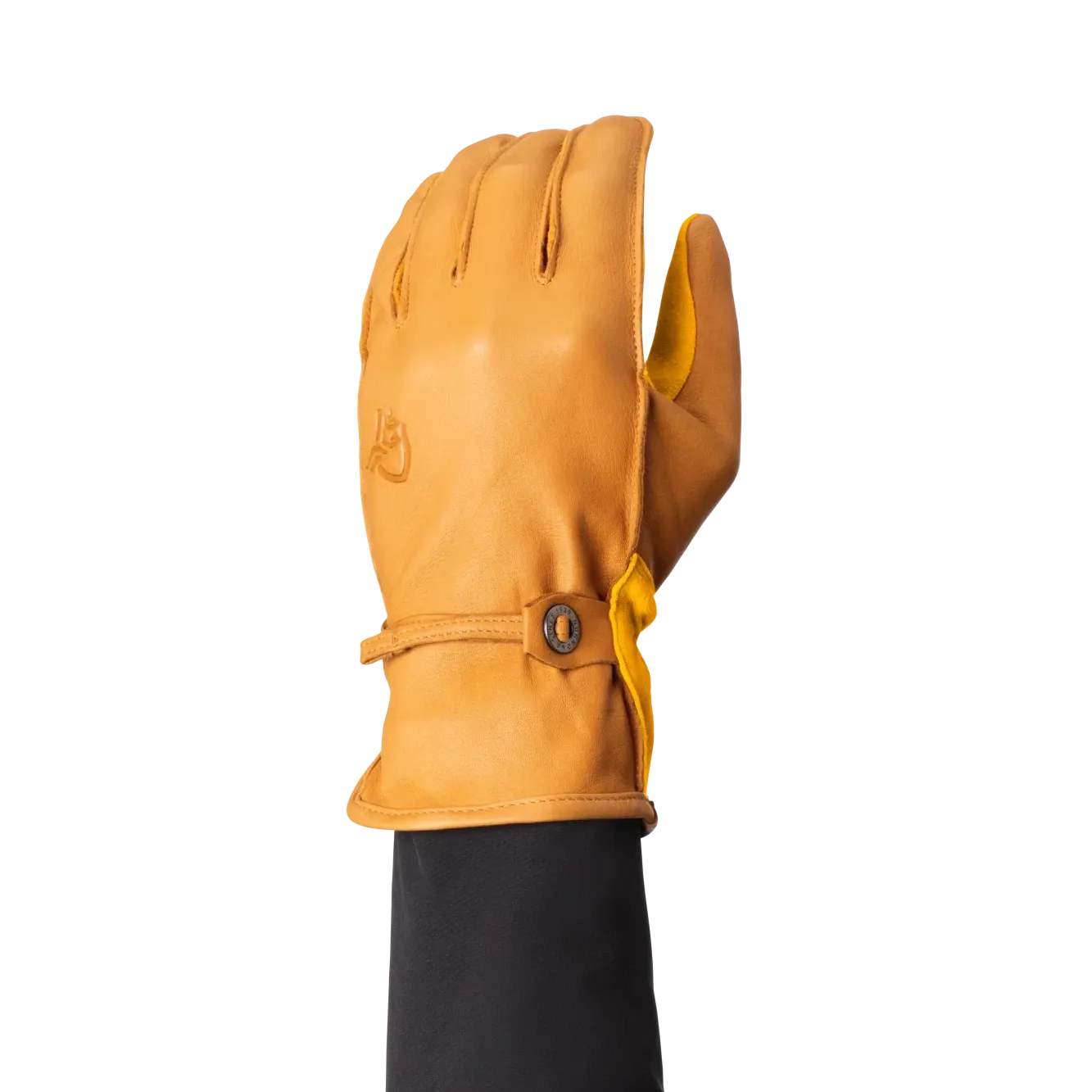 Svalbard Leather Gloves (Past Season)