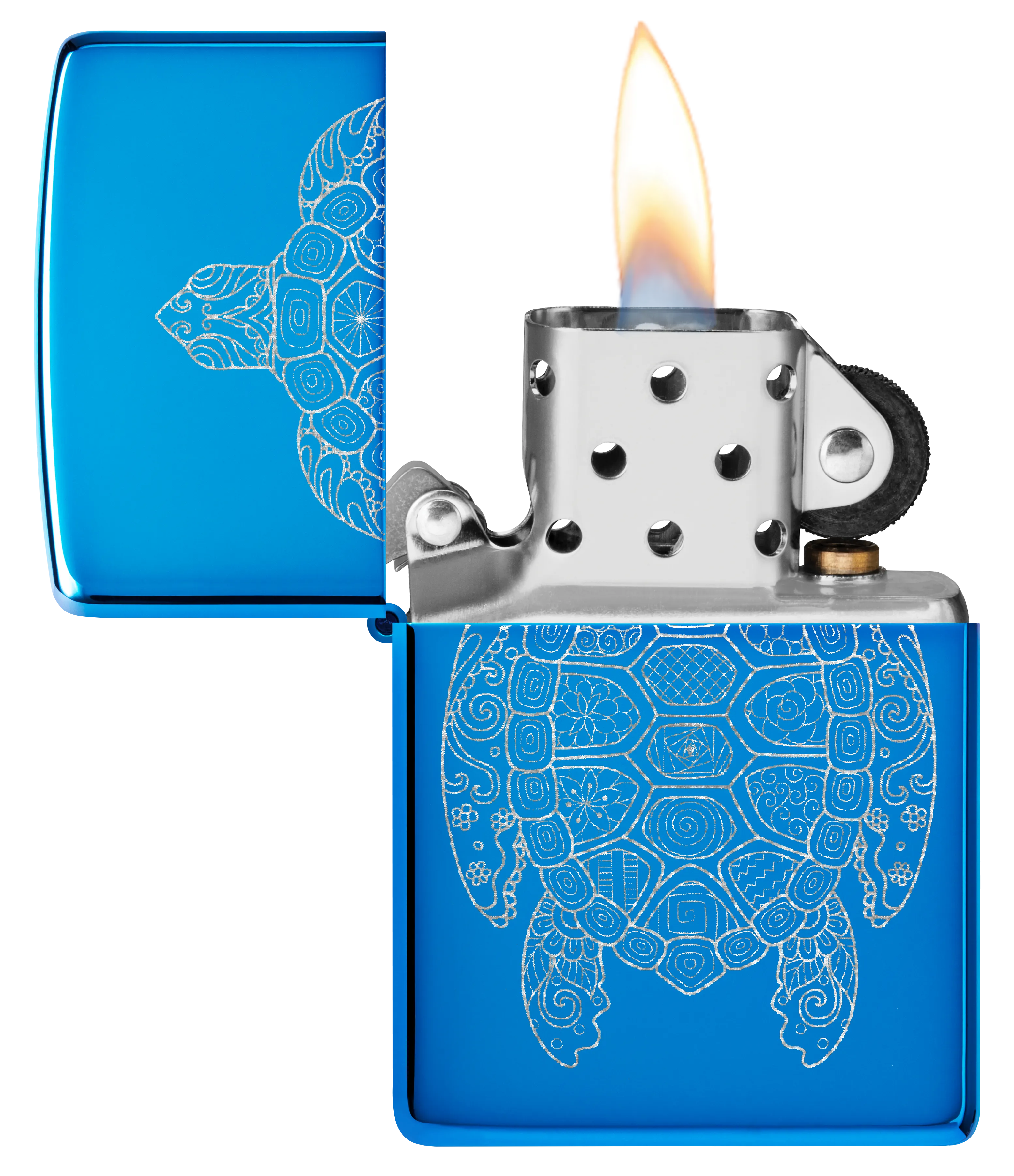 Turtle Design