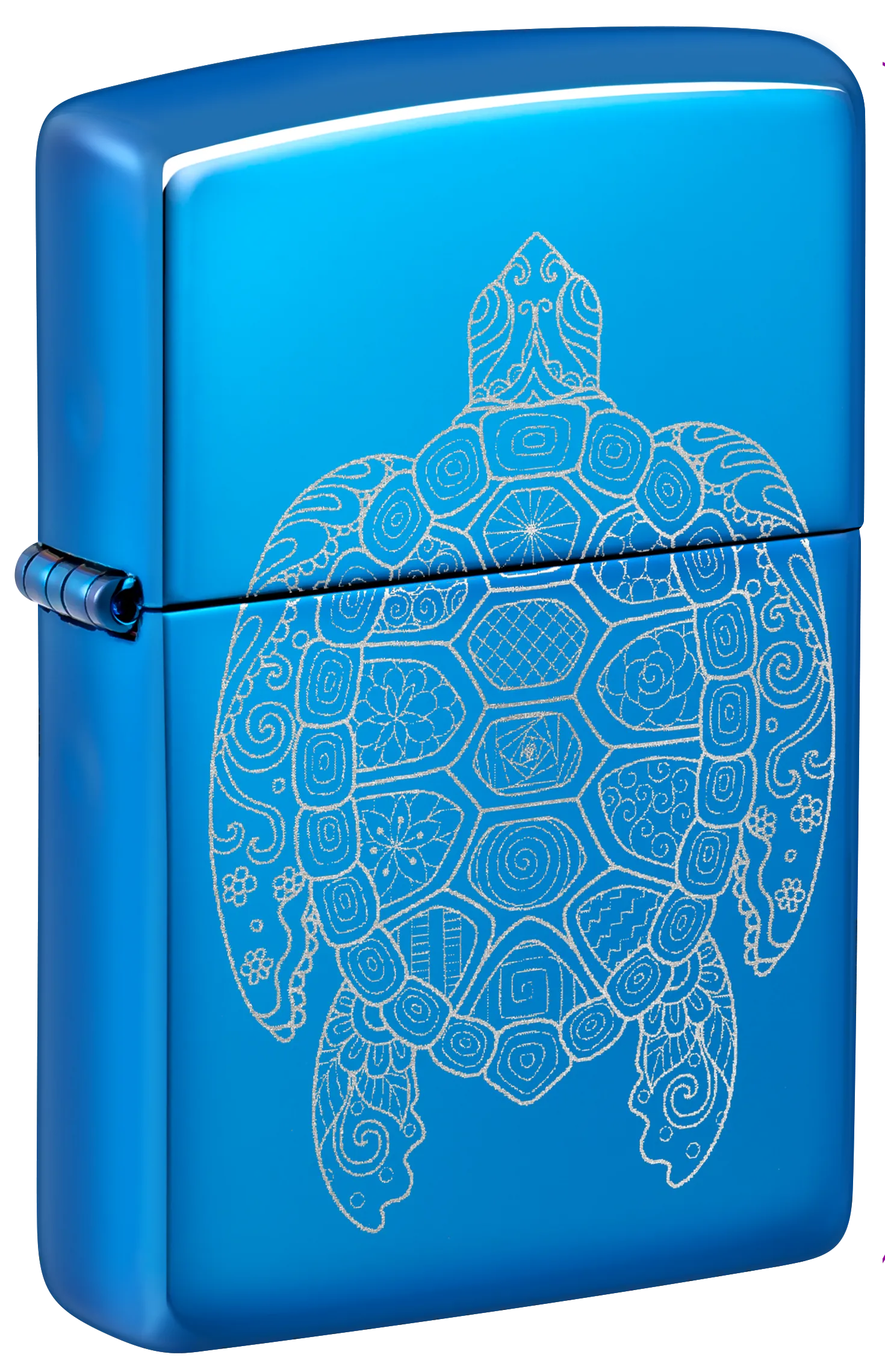 Turtle Design