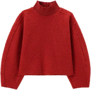 Women's Fuzzy Fleece Sweater Fleece Sherpa Oversized Cropped Sweatshirt Jumper Tops